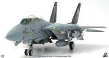 F-14 Tomcat Black Knights